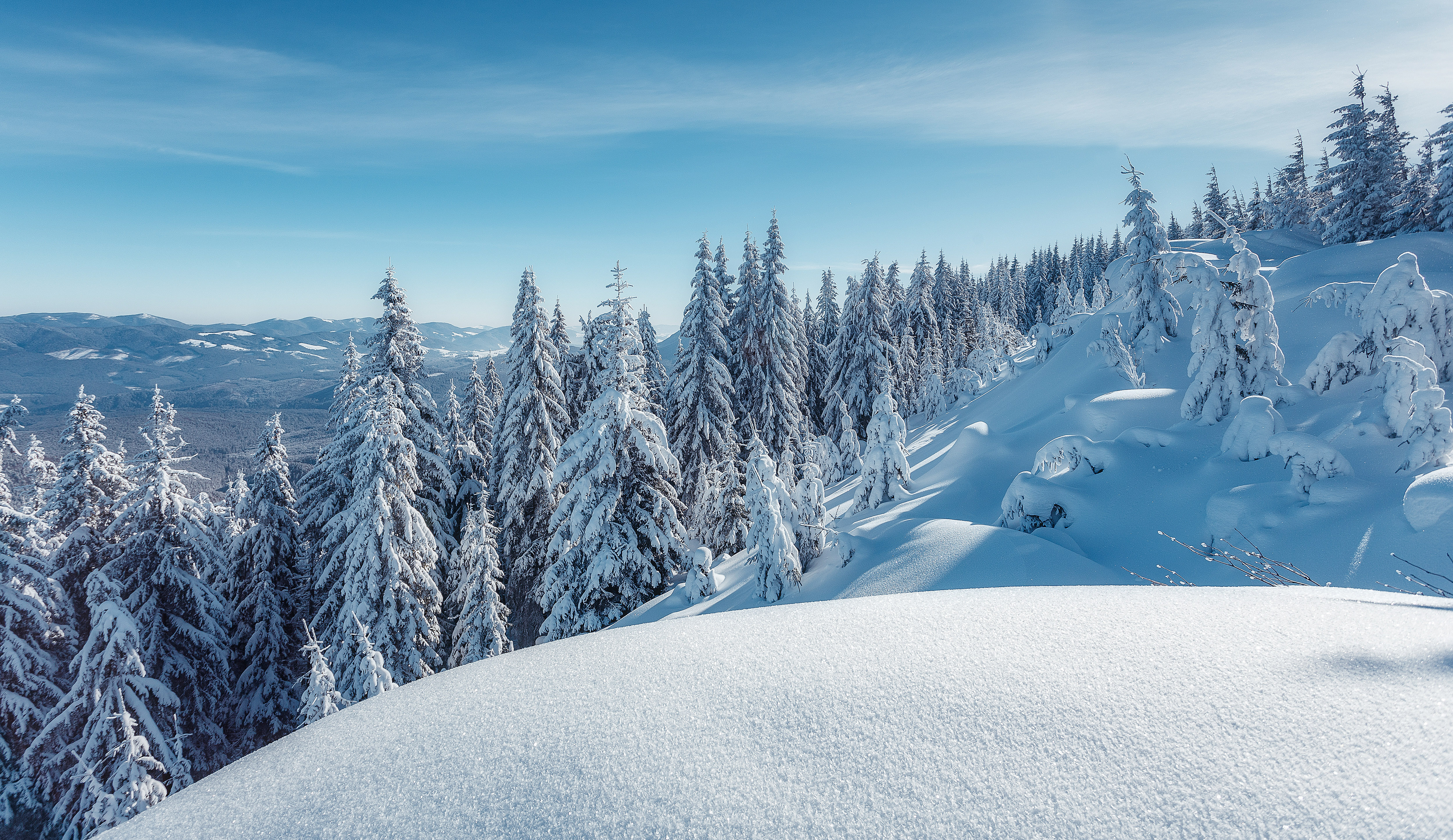 Paisaje de nieve en Estados Unidos